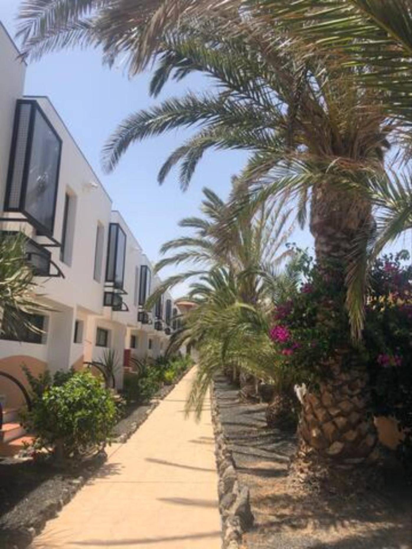 Apartamento Happyness Complex Amaya Fuerteventura Коста-де-Антигуа Экстерьер фото